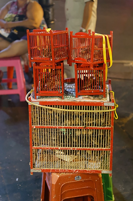 Bangkok la nuit, loy krathong-052